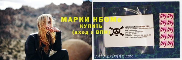 прущие грибы Абаза