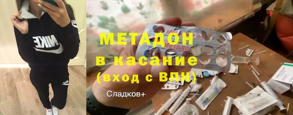 прущие грибы Абаза