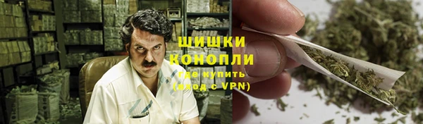 прущие грибы Абаза