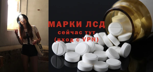 прущие грибы Абаза
