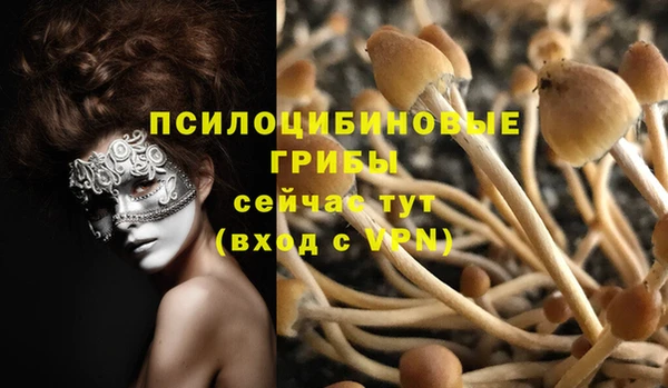 кокс Осташков