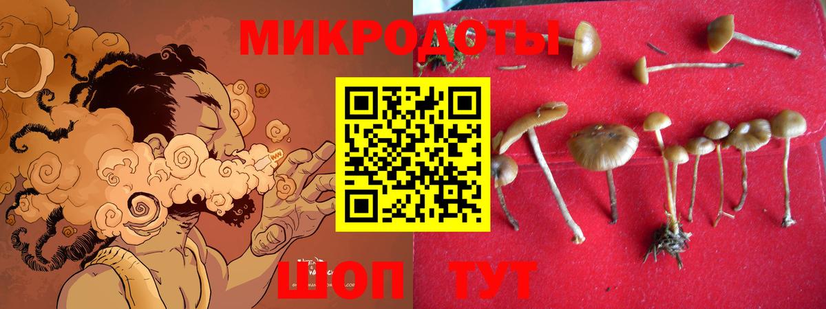 Протвино  Псилоцибиновые грибы Cubensis  Вход с VPN 